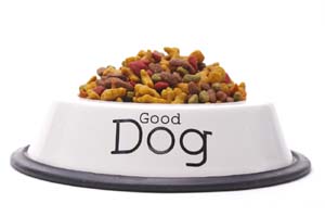 Good Dog Food