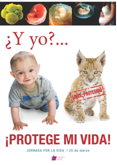 vida.jpg